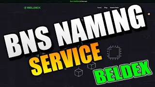 Служба присвоения имен BNS - BELDEX выглядит хорошо!