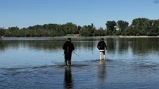 Lov veľkých amurov na rieke Dunaj 1. časť  #rybolov