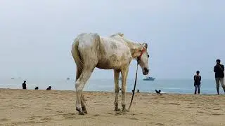 MARINA BEACH 2020 | cinematic video | shot on oneplus| CHENNAI