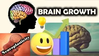 Your Brain is Capable of Growth / How to Shape Your Brain / Neuroplasticity - Brain's Power