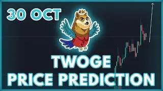 ANOTHER +100% COMING? | TWOGE INU PRICE PREDICTION & REVIEW 2022!