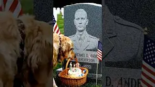 A Soldier's Best Friend: A Memory of dog's Loyalty. #DogLoyalty #SoldierAndDog #EmotionalStory