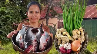 Stir-Fried Fish with Ginger | Healthy Asian Ginger Fish Recipe | Easy Homemade Seafood
