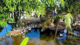 Start the best project the old bulldozer push stone with dump truck for delete the flood pond
