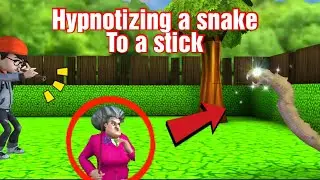 Hypnotizing A Snake To A Stick to Prank Miss T