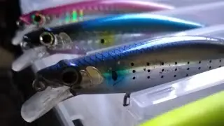SELECCIÓN TEMPORADA 2021 SHIMANO SILENT ASSASSIN 140 F -VLOG 34