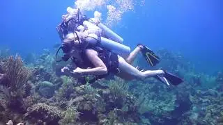 Divemaster Internship - From Zero to Hero on Roatan!