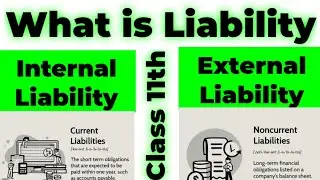 What is liability for class 11th || What is internal liability || What is external liability