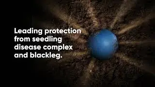 Canola Seed Treatments | 2022 Corteva