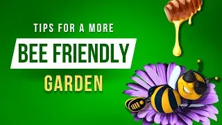 3 tips for a more bee friendly garden