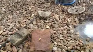 Flat roof Leak detection