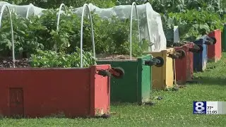 Foodlink expanding Community Farm to provide more to new American families