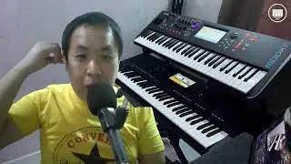 双电子琴演奏直播 17/1/26
