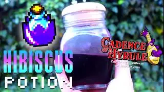 CADENCE OF HYRULE - How to make Hibiscus Potion