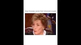 Dog chooses owner from a divourced couple! Just look at that reaction!