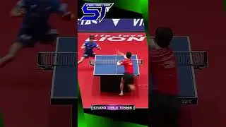 Crazy Topspin Forehand Table Tennis Championship #卓球の試合 #탁구 경기 #스포츠 #pingpong #tabletennis #shorts