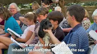 Blessing of the Animals