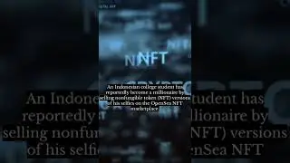 22-year-old Indonesian boy makes $1M by selling NFT selfies on OpenSea