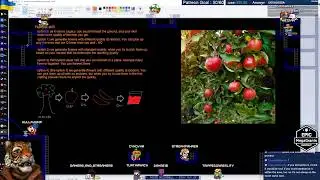 Unreal Engine MMO #918 - Mac issues