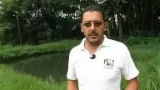 Falta de mem&oacute;ria pode ser controlada nos idosos