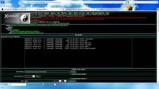 Hacking Academy - try to bypass server security via shell script