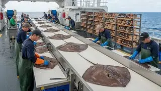 Inside the Stingray Leather Factory - Luxury Products From Stingray Leather (Full Process)