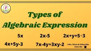 Types of Algebraic Expressions || Basic Concepts of Algebra || Brilliant Minds