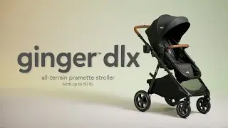 ginger&trade; dlx