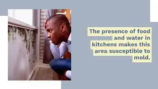 Mold Removal - El Segundo - Solid Services Water Damage Restoration - +1 (424) 255-1388