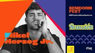 BENIDORM FEST 🇪🇦 - MIKEL HERZOG JR. - 