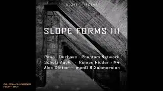 06. Roman Ridder - Night Sky