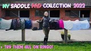 MY SADDLE PAD COLLECTION 2022 | PLUS A RINGO TRY ON!