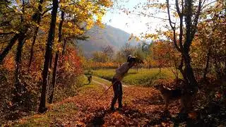 L'AUTUNNO DI ANTONIO VIVALDI - AUTUMN FROM THE FOUR SEASONS -