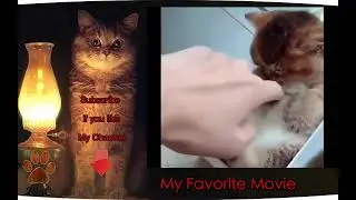 Road to 4000 hours # 2. Enjoy  My Favorite Movie.