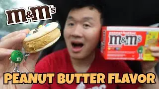 I TRIED A NEW FLAVOR - M&M's Peanut Butter Ice Cream Cookie Sandwich Review