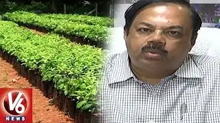 HMDA Officers Ready For 4th Phase Haritha Haram Project | Hyderabad | V6 News