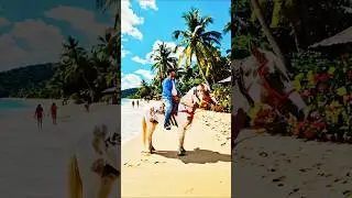horse riding shorts video