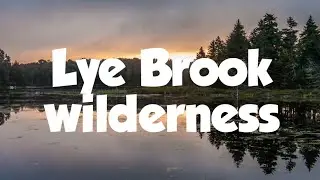 My trip to Lye brook wilderness