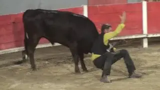 Raphèle les Arles 14/06/2025 le résumé de la 6ème rencontre des manades les meilleurs moments.🤠🐴