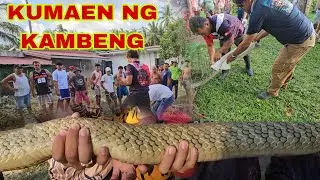 PINAKA MALAKING BANAKON NA NAHULI