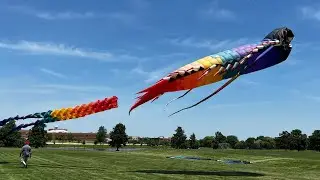 5 June activities to celebrate the start of summer