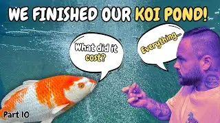 Pt10. &pound;1,000&rsquo;s spent Building a Raised sleeper koi pond. But you might be surprised just how much.