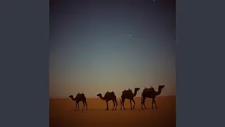 Desert Caravan Dreams