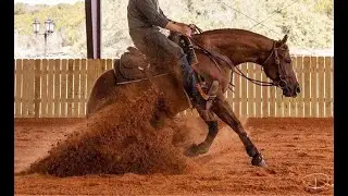 Princess Josephine -**Sold to Nebraska