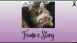 Solensia Experiences - Fiona's Story