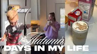 Cleaning and organizing Kitchen cabinets, Fall shopping and canning!  