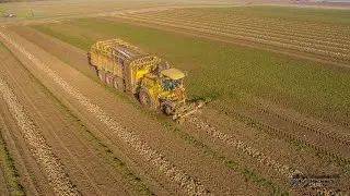 ARRACHAGE DE BETTERAVES 24 rangs | JPS SOYEZ