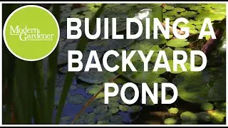 Learn About Building a Backyard Pond with Utah Water Garden and Ponds