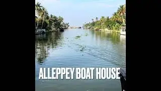 #alleppeybackwaters #alleppeyhouseboats #parasakthi #jananayagan 