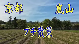 京都 嵐山 プチ散策